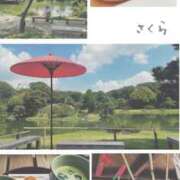 ヒメ日記 2025/08/25 18:47 投稿 さくら 錦糸町人妻セレブリティ（ユメオト）