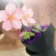 ヒメ日記 2025/10/12 22:18 投稿 さくら 錦糸町人妻セレブリティ（ユメオト）