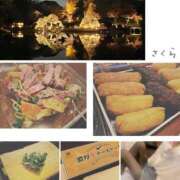 ヒメ日記 2025/12/07 07:22 投稿 さくら 錦糸町人妻セレブリティ（ユメオト）