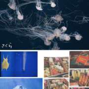 ヒメ日記 2026/01/04 08:04 投稿 さくら 錦糸町人妻セレブリティ（ユメオト）