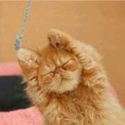 みさき 満員m(_ _)m御礼 モアグループ小山人妻花壇