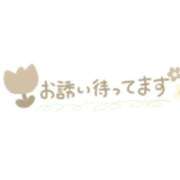 ヒメ日記 2025/03/20 13:40 投稿 あんず 妻天 尼崎店