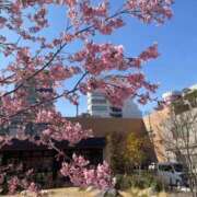 ヒメ日記 2026/03/01 14:28 投稿 あんず 妻天 尼崎店