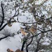 ヒメ日記 2025/04/04 02:08 投稿 るいか 素人エロカワ小悪魔誘惑バニーガール