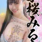 ヒメ日記 2025/02/06 20:21 投稿 小桜みるく。 Etoile（エトワール）