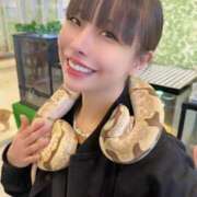 ヒメ日記 2025/03/16 12:23 投稿 小桜みるく。 Etoile（エトワール）