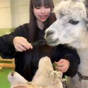 ヒメ日記 2025/04/02 13:41 投稿 小桜みるく。 Etoile（エトワール）