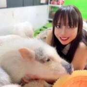 ヒメ日記 2025/04/29 12:45 投稿 小桜みるく。 Etoile（エトワール）