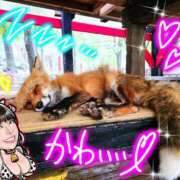 ヒメ日記 2025/07/15 12:10 投稿 小桜みるく。 Etoile（エトワール）