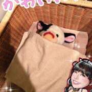 ヒメ日記 2025/09/14 15:58 投稿 小桜みるく。 Etoile（エトワール）