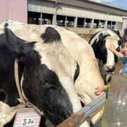 ヒメ日記 2025/10/29 17:45 投稿 小桜みるく。 Etoile（エトワール）