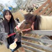 ヒメ日記 2025/11/06 13:00 投稿 小桜みるく。 Etoile（エトワール）