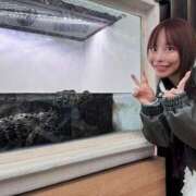 ヒメ日記 2026/02/12 22:00 投稿 小桜みるく。 Etoile（エトワール）