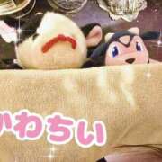 ヒメ日記 2026/03/05 23:08 投稿 小桜みるく。 Etoile（エトワール）