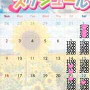 ヒメ日記 2026/07/06 14:18 投稿 小桜みるく。 Etoile（エトワール）