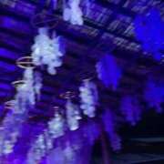 ヒメ日記 2025/10/31 12:08 投稿 ひばり 奥様はエンジェル　町田店