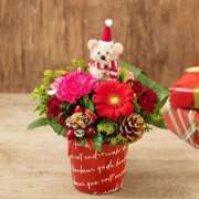 ヒメ日記 2024/12/25 22:20 投稿 ちかこ 即トク奥さん