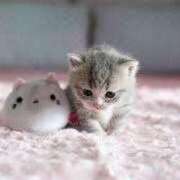 ヒメ日記 2024/12/28 17:10 投稿 ちかこ 即トク奥さん