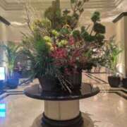 ヒメ日記 2025/01/02 21:37 投稿 ちかこ 即トク奥さん