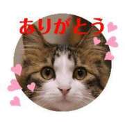 ヒメ日記 2025/01/04 21:40 投稿 ちかこ 即トク奥さん