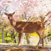 ヒメ日記 2025/01/25 21:32 投稿 ちかこ 即トク奥さん