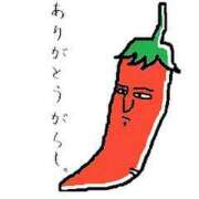 ヒメ日記 2025/03/15 15:30 投稿 ちかこ 即トク奥さん