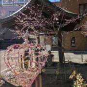 ヒメ日記 2025/03/18 22:00 投稿 ちかこ 即トク奥さん