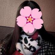 ヒメ日記 2025/03/20 01:00 投稿 ちかこ 即トク奥さん