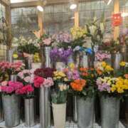 ヒメ日記 2025/03/20 17:00 投稿 ちかこ 即トク奥さん