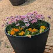 ヒメ日記 2025/03/24 14:30 投稿 ちかこ 即トク奥さん