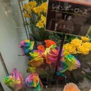 ヒメ日記 2025/03/27 18:00 投稿 ちかこ 即トク奥さん