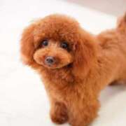 ヒメ日記 2025/04/01 15:00 投稿 ちかこ 即トク奥さん