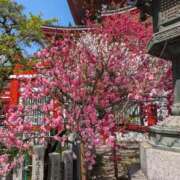 ヒメ日記 2025/04/07 17:20 投稿 ちかこ 即トク奥さん