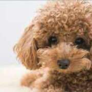 ヒメ日記 2025/04/11 12:20 投稿 ちかこ 即トク奥さん