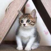 ヒメ日記 2025/04/11 16:52 投稿 ちかこ 即トク奥さん