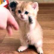 ヒメ日記 2025/04/15 18:50 投稿 ちかこ 即トク奥さん