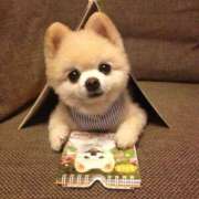 ヒメ日記 2025/04/21 00:10 投稿 ちかこ 即トク奥さん