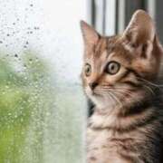 ヒメ日記 2025/04/28 17:23 投稿 ちかこ 即トク奥さん