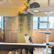 ヒメ日記 2025/05/04 17:25 投稿 ちかこ 即トク奥さん