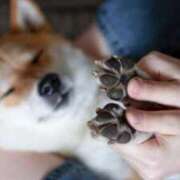 ヒメ日記 2025/05/10 13:30 投稿 ちかこ 即トク奥さん