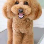 ヒメ日記 2025/05/14 10:40 投稿 ちかこ 即トク奥さん