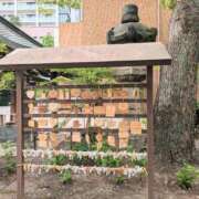 ヒメ日記 2025/05/19 17:31 投稿 ちかこ 即トク奥さん