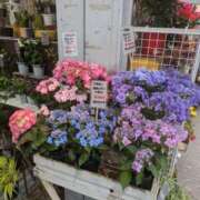 ヒメ日記 2025/05/20 20:00 投稿 ちかこ 即トク奥さん