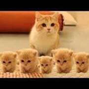 ヒメ日記 2025/05/26 23:20 投稿 ちかこ 即トク奥さん