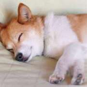 ヒメ日記 2025/06/17 20:00 投稿 ちかこ 即トク奥さん