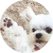 ヒメ日記 2025/06/20 23:20 投稿 ちかこ 即トク奥さん