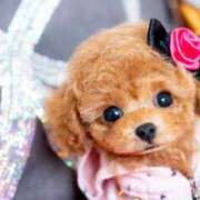 ヒメ日記 2025/07/11 18:22 投稿 ちかこ 即トク奥さん