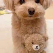 ヒメ日記 2025/07/12 14:20 投稿 ちかこ 即トク奥さん