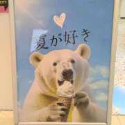 ヒメ日記 2025/07/17 17:20 投稿 ちかこ 即トク奥さん