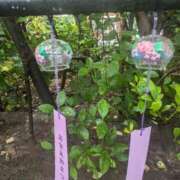 ヒメ日記 2025/08/12 22:07 投稿 ちかこ 即トク奥さん